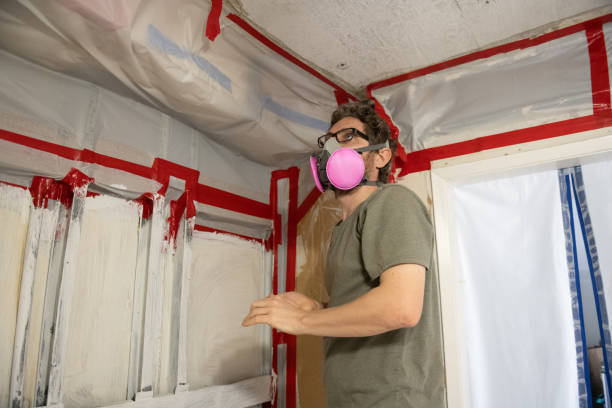 Best Asbestos and Lead Testing During Mold Inspection  in USA